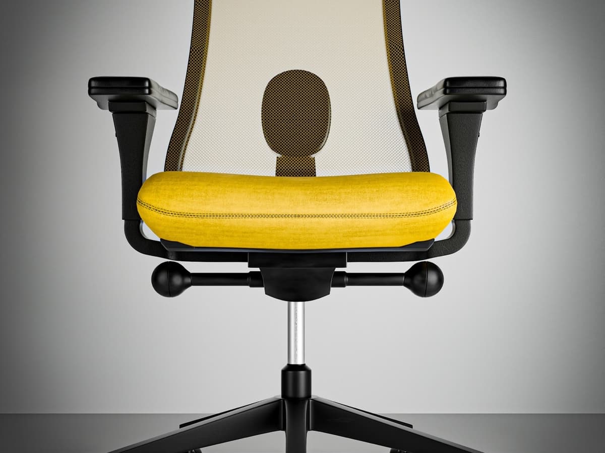 A mesh office chair with an adjustable lumbar support pad on a curved backrest